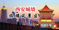 大鸡巴操进小逼里视频中国陕西-西安城墙旅游风景区